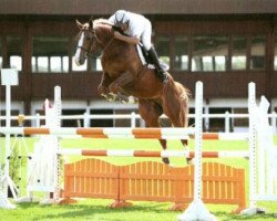 stallion Quasoar Tame (Selle Français, 2004, from Quidam de Revel)