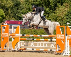 jumper C'Est La Princesse (German Sport Horse, 2017, from Chap II)