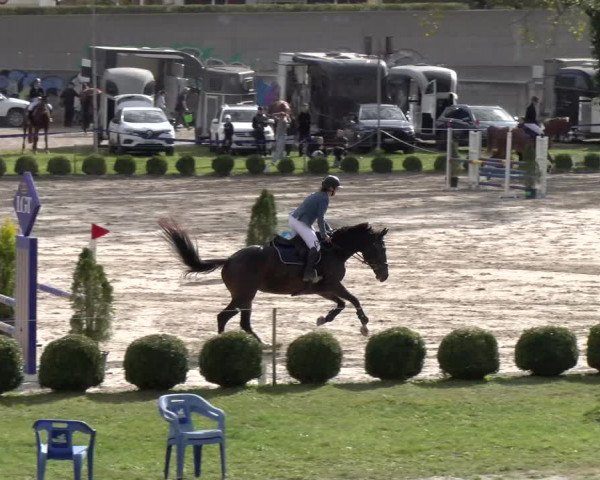 Reitturnier Basel 2023