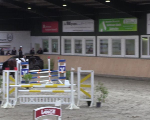 Reitturnier Salzkotten 2023