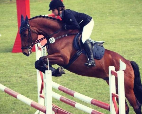 jumper Landiro H (German Sport Horse, 2010, from Lancado)