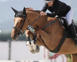 jumper Erste Ljh Z (Zangersheide riding horse, 2017, from Emerald van 't Ruytershof)