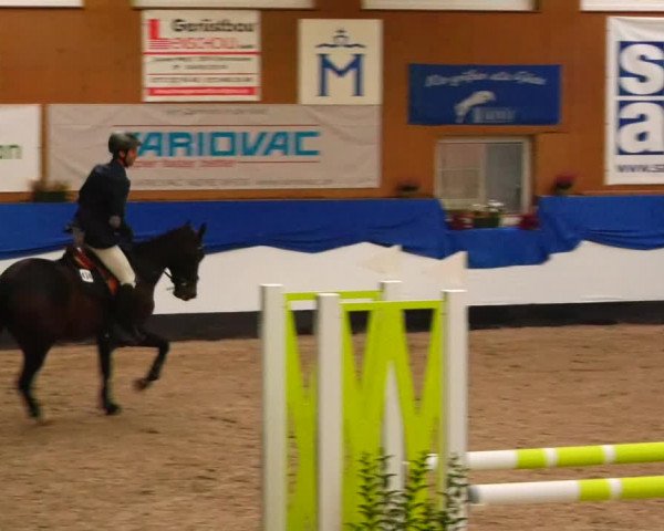 Reitturnier Gadebusch 2023