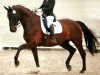 dressage horse Dark Batuo (Hanoverian, 2011, from Dancier)