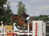 jumper Pep 6 (German Riding Pony, 2010, from Papilon ox)