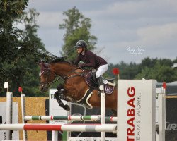 jumper Pep 6 (German Riding Pony, 2010, from Papilon ox)