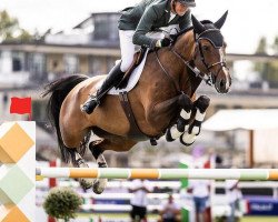 jumper Highland President (KWPN (Royal Dutch Sporthorse), 2012, from Clinton)