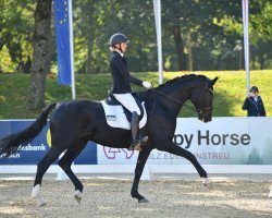 dressage horse Fabienne 534 (Oldenburg, 2018, from Frascino)