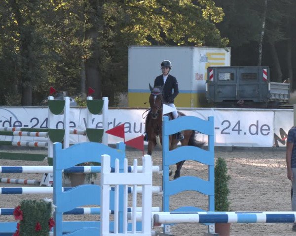 Reitturnier Ranshofen - Braunau am Inn 2023