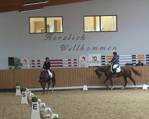 Reitturnier Grafenrheinfeld/Ufr. 2023