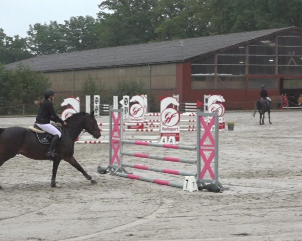 Reitturnier Handorf 2023
