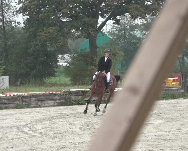 Reitturnier Handorf 2023
