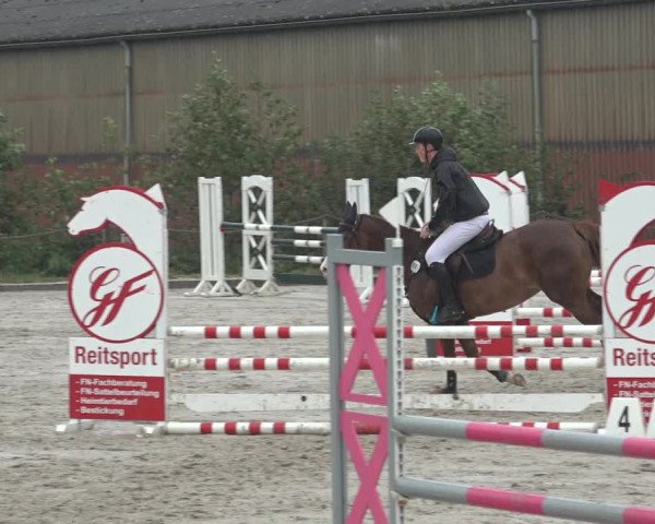Reitturnier Handorf 2023