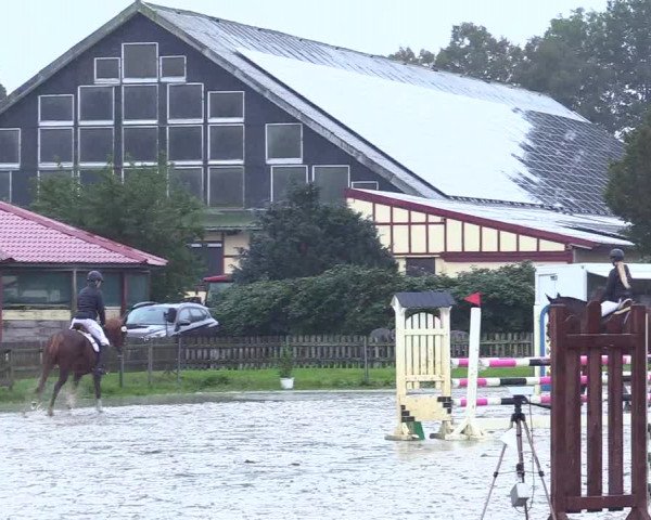 Reitturnier Schülp / Rendsburg 2023