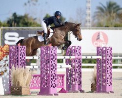 jumper Igor Gph (KWPN (Royal Dutch Sporthorse), 2013, from VDL Harley)