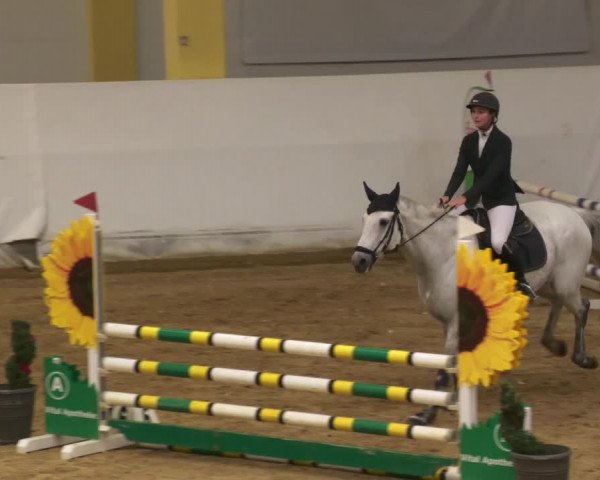 Springturnier Stadl Paura 2023