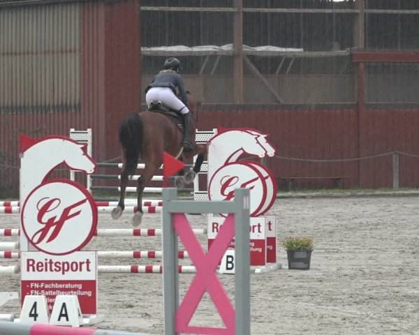 Reitturnier Handorf 2023