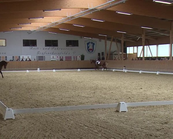 Reitturnier Grafenrheinfeld/Ufr. 2023