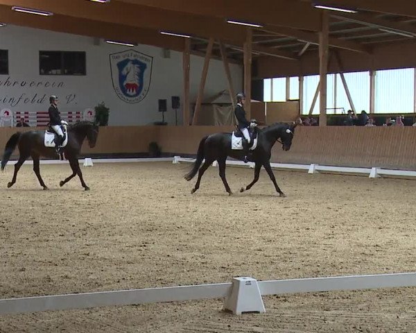 Reitturnier Grafenrheinfeld/Ufr. 2023