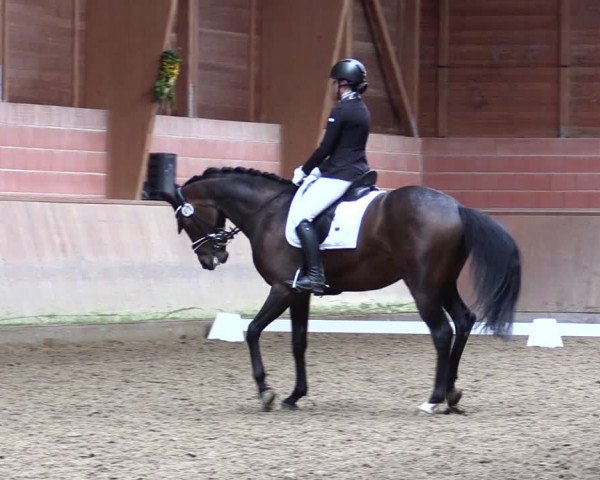Reitturnier Dortmund-Barop 2021