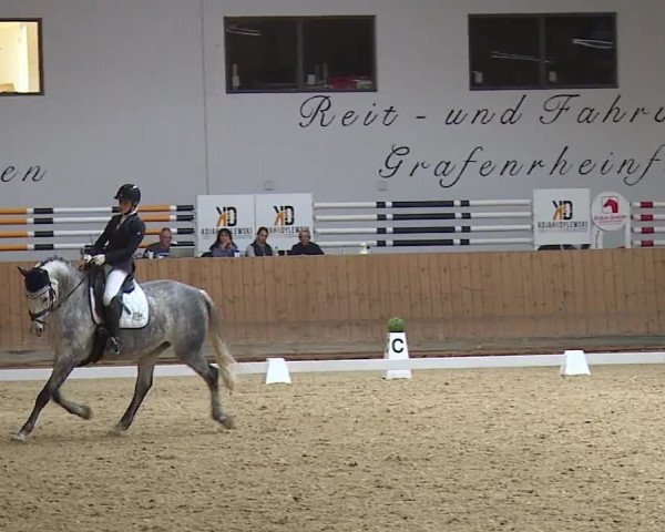 Reitturnier Grafenrheinfeld/Ufr. 2023