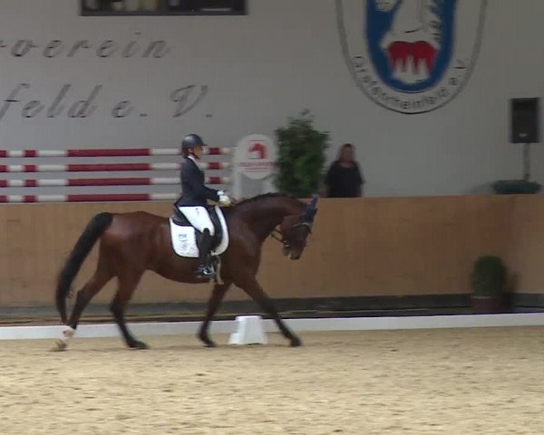 Reitturnier Grafenrheinfeld/Ufr. 2023
