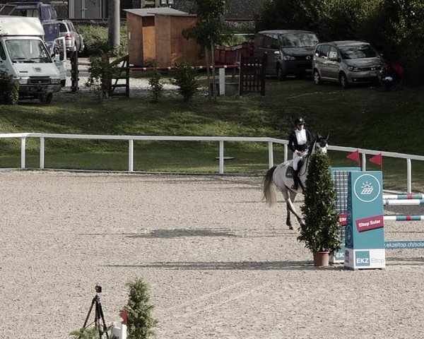 Pferdesporttage Bülach 2021
