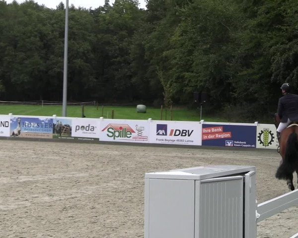 Reitturnier Essen - Herbstturnier 2023