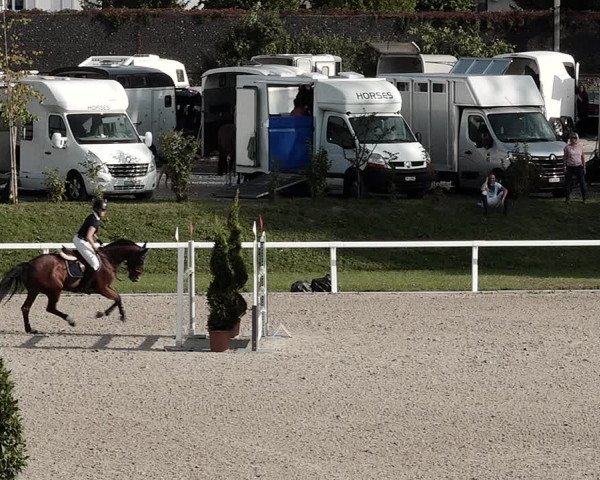 Pferdesporttage Bülach 2021