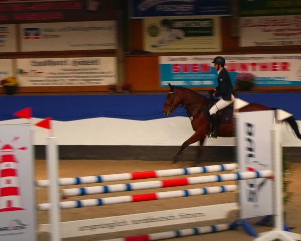 Reitturnier Gadebusch 2023