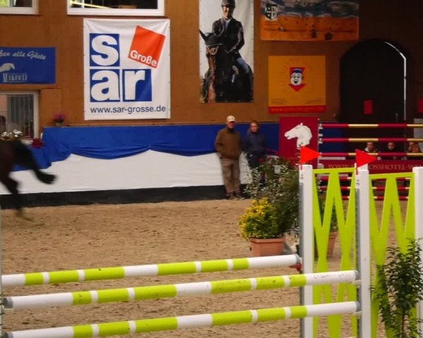 Reitturnier Gadebusch 2023