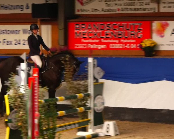 Reitturnier Gadebusch 2023