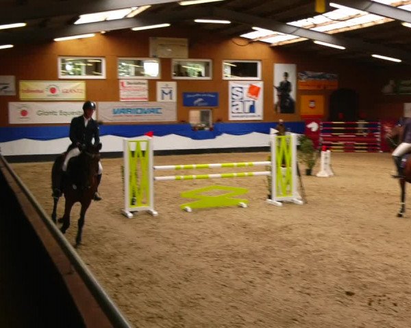 Reitturnier Gadebusch 2023