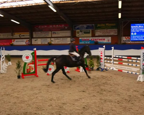 Reitturnier Gadebusch 2023