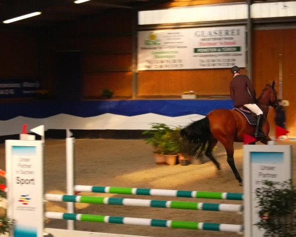 Reitturnier Gadebusch 2023