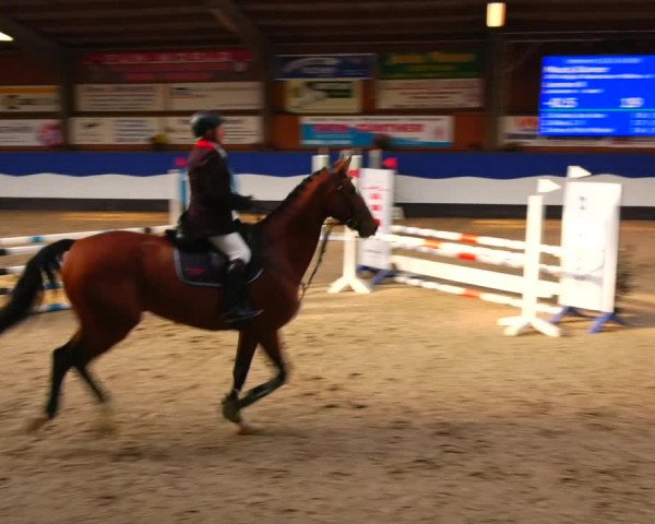Reitturnier Gadebusch 2023