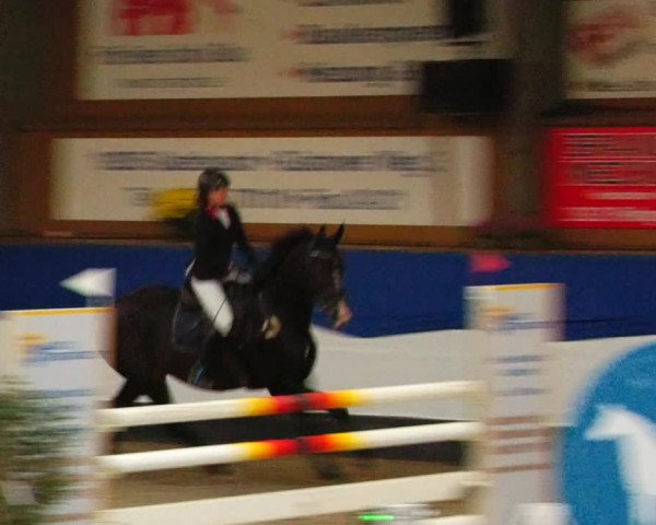 Reitturnier Gadebusch 2023