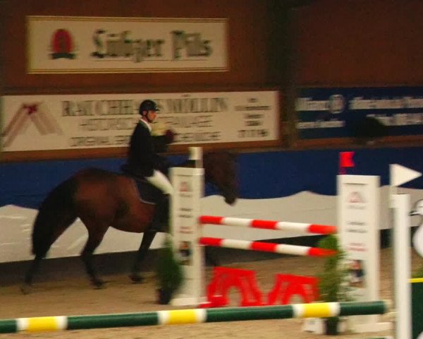 Reitturnier Gadebusch 2023