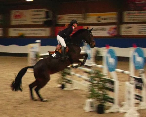 Reitturnier Gadebusch 2023