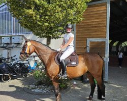 dressage horse Ben (Westphalian, 2016, from Belissimo NRW)