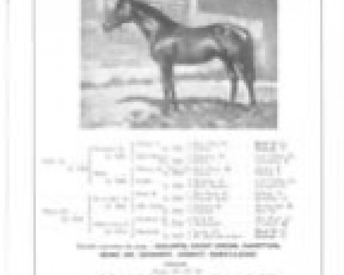 stallion Davout xx (Thoroughbred, 1933, from Parth xx)