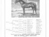 stallion Davout xx (Thoroughbred, 1933, from Parth xx)