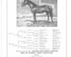 stallion Davout xx (Thoroughbred, 1933, from Parth xx)