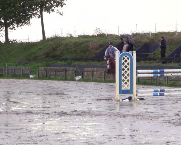 Reitturnier Schülp / Rendsburg 2023
