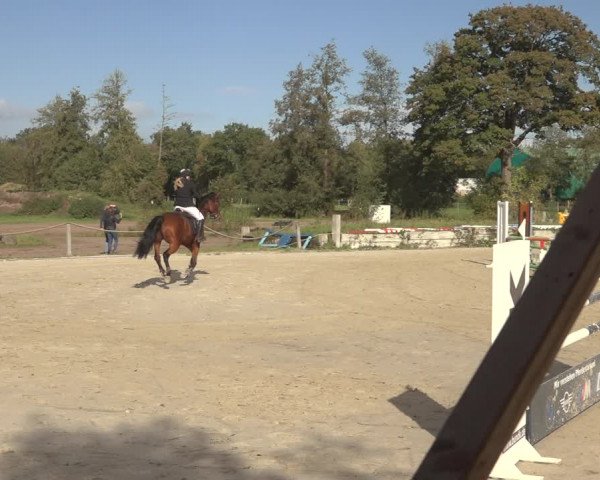 Reitturnier Handorf 2023
