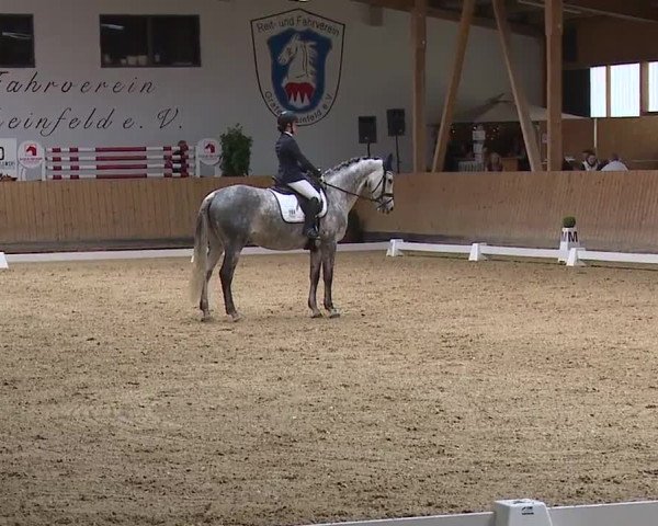 Reitturnier Grafenrheinfeld/Ufr. 2023