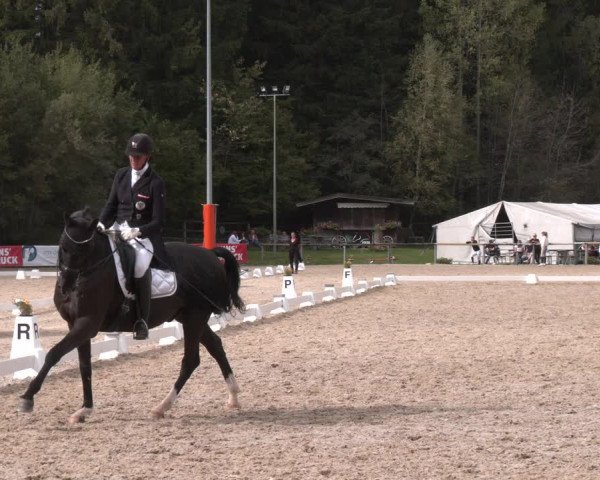 Dressurturnier Igls 2023