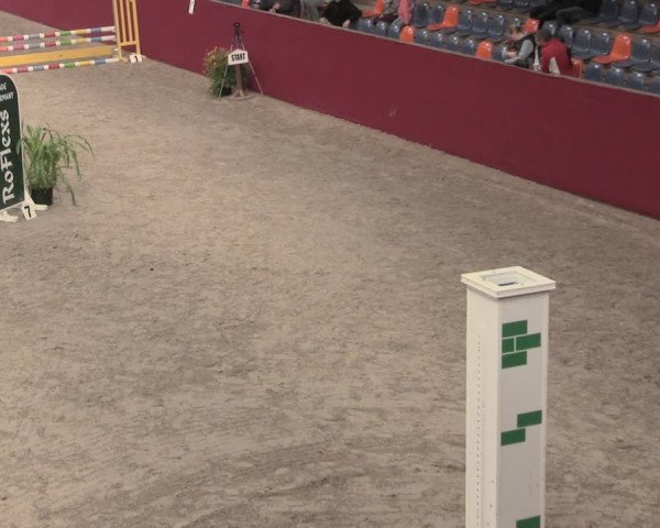 Reitturnier Krumke 2023