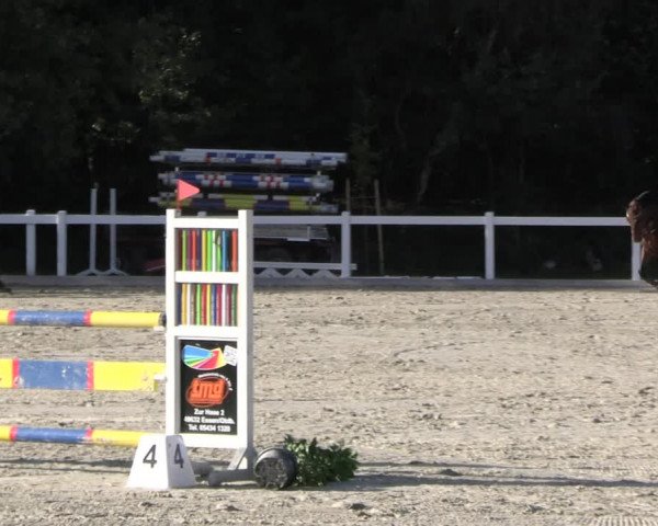 Reitturnier Essen - Herbstturnier 2023