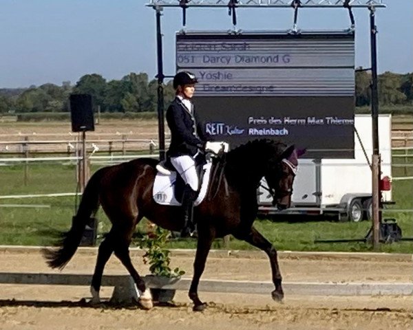 dressage horse Darcy Diamond G (Hanoverian, 2019, from Diamond Deluxe 3)